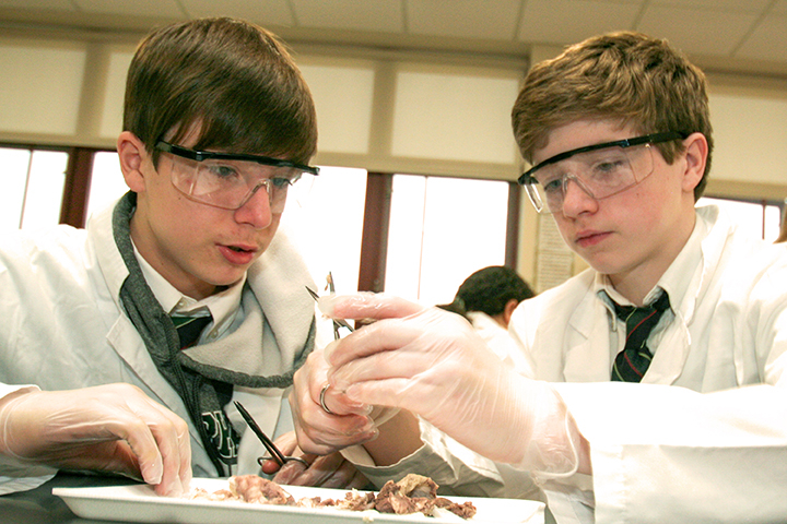 Middle-schoolers dissect cow's eye